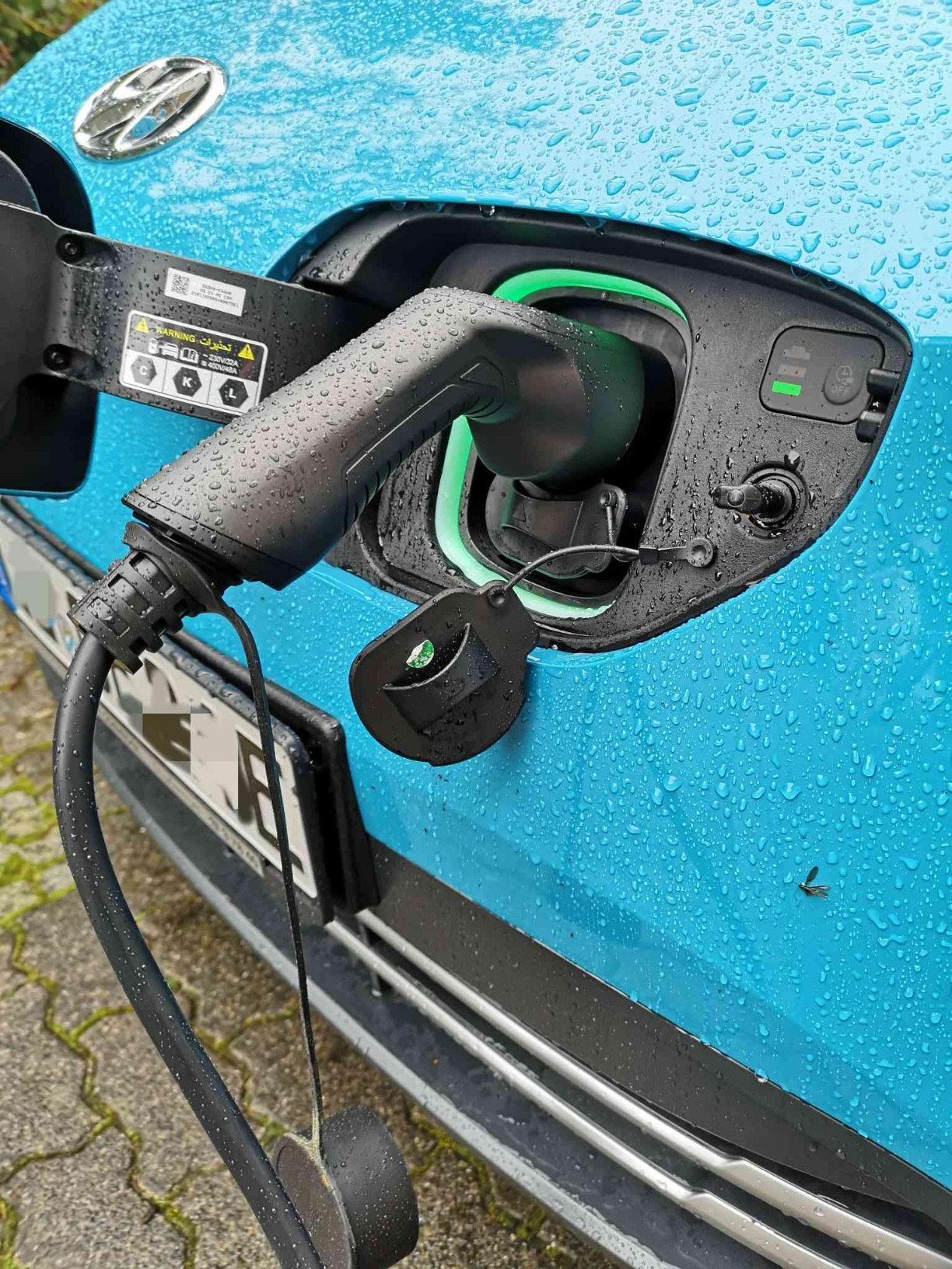 EV Chargers and Renewable Energy: Paving the Way for a Green Future🚀